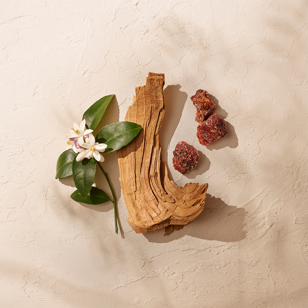 ANNICK GOUTAL – Le Temps des Rêves – Eau de Parfum