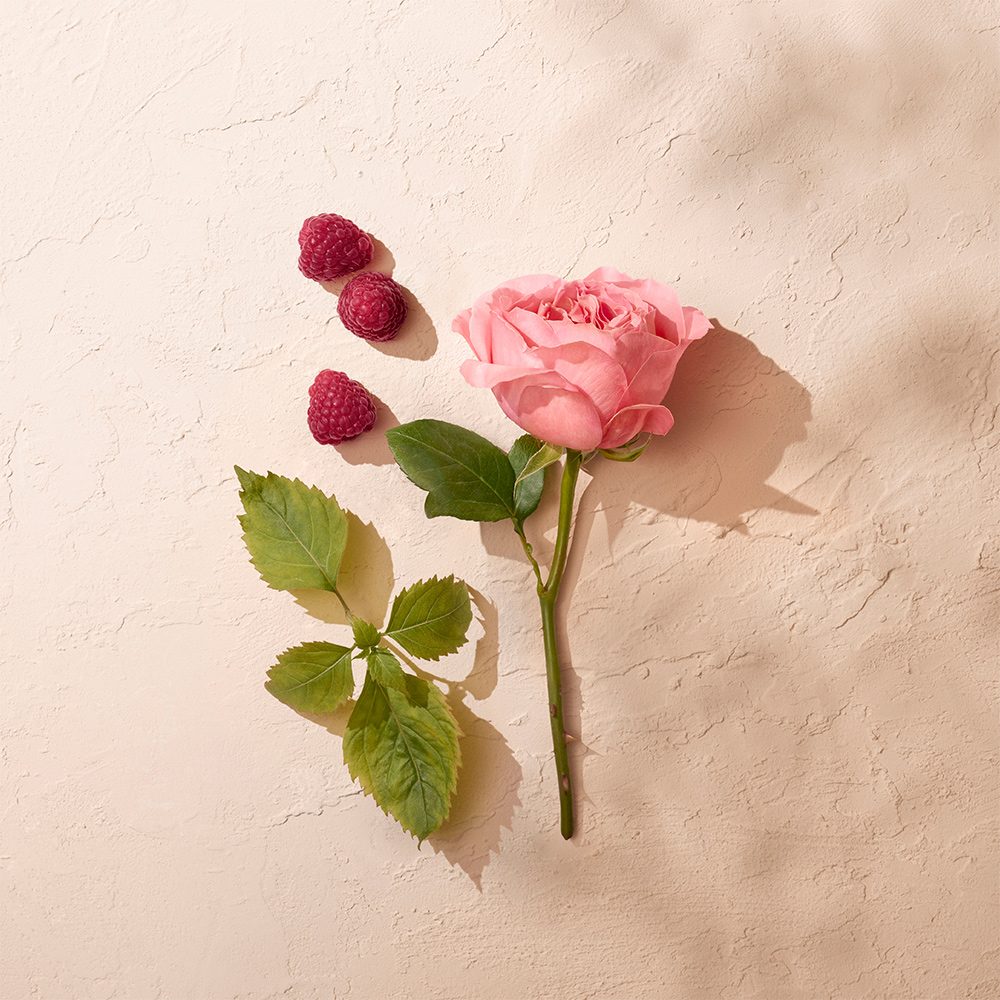 ANNICK GOUTAL – Rose Pompon – Eau de Parfum