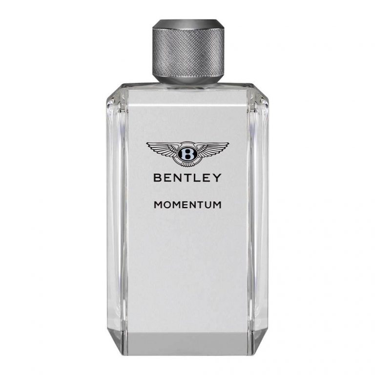 BENTLEY Momentum - Eau de Toilette 100ml
